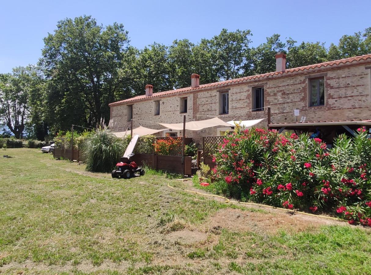 Les Appartements Du Mas Riols Saint-Cyprien  Exterior photo